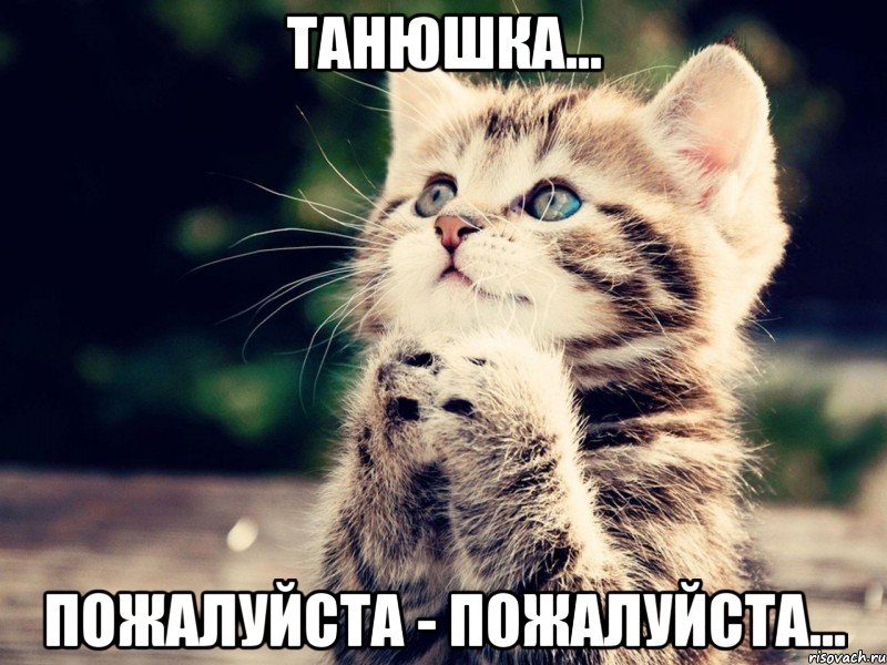 Танюшка... Пожалуйста - пожалуйста...
