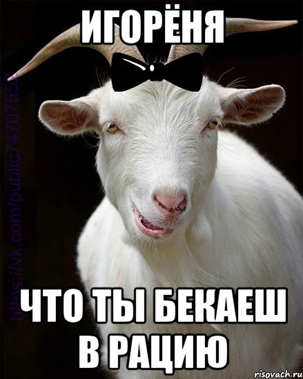 Игорёня Что ты бекаеш в рацию
