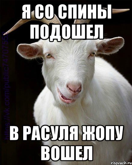 Я со спины подошел В расуля жопу вошел