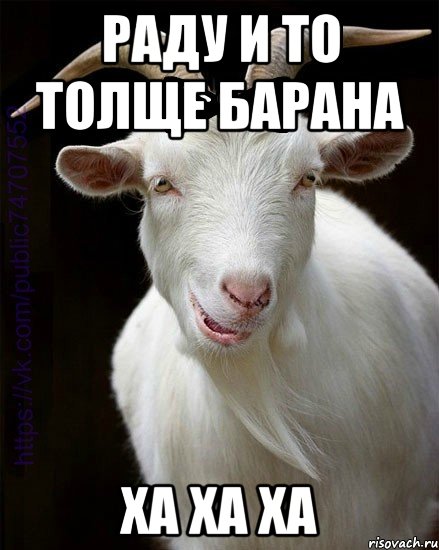 РАДУ И ТО ТОЛЩЕ БАРАНА ХА ХА ХА