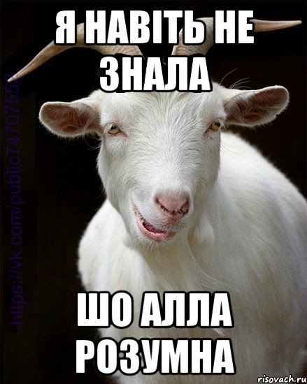 Я навіть не знала шо Алла розумна