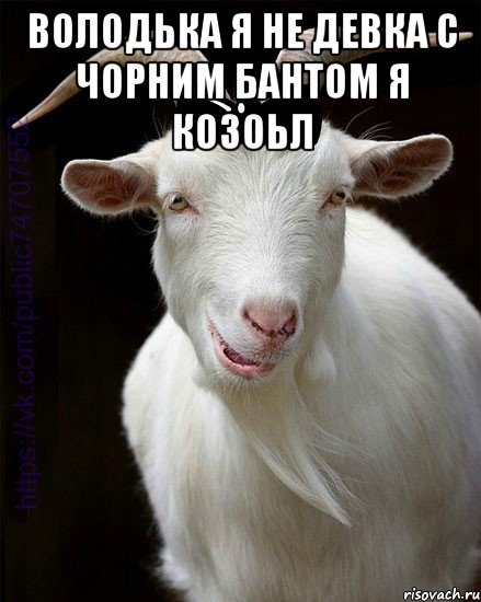ВОЛОДЬКА Я НЕ ДЕВКА С ЧОРНИМ БАНТОМ Я КОЗОЬЛ 