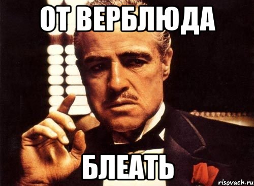 от верблюда блеать, Мем крестный отец