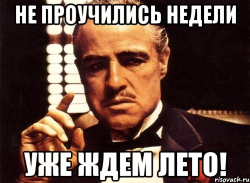 не проучились недели уже ждем лето!, Мем крестный отец
