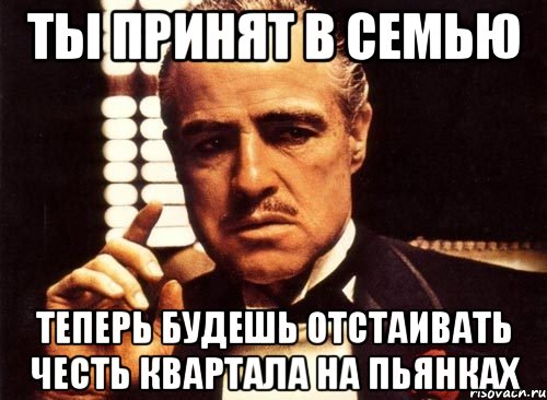 Ты принят в семью теперь будешь отстаивать честь квартала на пьянках, Мем крестный отец
