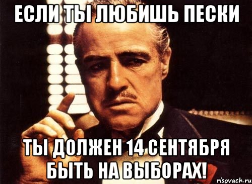 Если ты любишь Пески ты должен 14 сентября быть на выборах!, Мем крестный отец