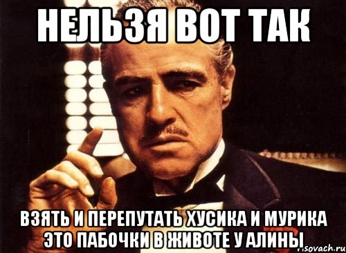 нельзя вот так взять и перепутать хусика и мурика это пабочки в животе у алины, Мем крестный отец