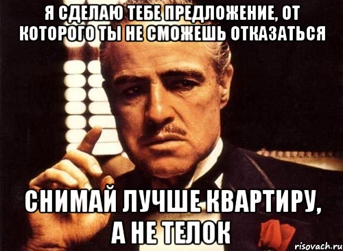 Я сделаю тебе предложение, от которого ты не сможешь отказаться снимай лучше квартиру, а не телок, Мем крестный отец