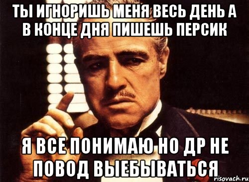 ты игноришь меня весь день а в конце дня пишешь персик я все понимаю но др не повод выебываться, Мем крестный отец