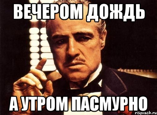 вечером дождь а утром пасмурно, Мем крестный отец