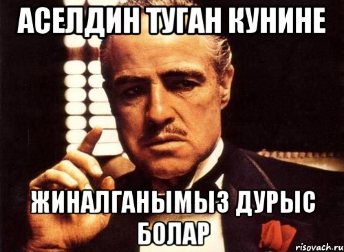 Аселдин туган кунине Жиналганымыз дурыс болар, Мем крестный отец