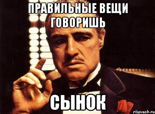 Правильные вещи говоришь сынок, Мем крестный отец
