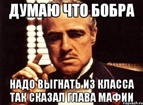 Думаю что Бобра Надо Выгнать из класса так сказал Глава мафии, Мем крестный отец