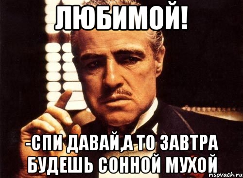 ЛЮБИМОЙ! -СПИ ДАВАЙ,А ТО ЗАВТРА БУДЕШЬ СОННОЙ МУХОЙ, Мем крестный отец