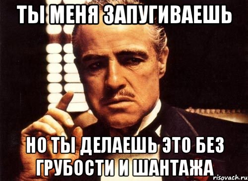 Ты меня запугиваешь но ты делаешь это без грубости и шантажа, Мем крестный отец