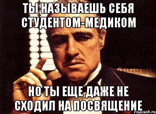 Ты называешь себя студентом-медиком но ты еще даже не сходил на Посвящение, Мем крестный отец