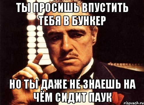 ты просишь впустить тебя в бункер но ты даже не знаешь на чём сидит паук, Мем крестный отец