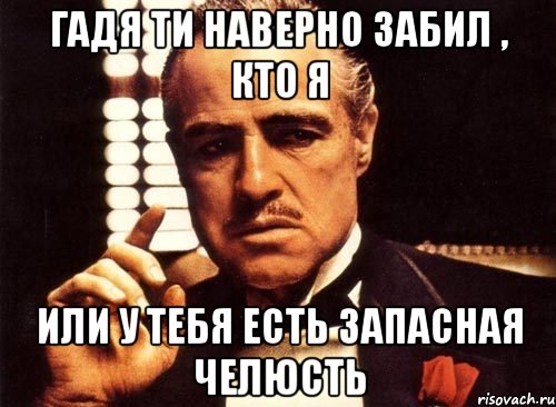 Гадя ти наверно забил , кто я или у тебя есть запасная челюсть, Мем крестный отец