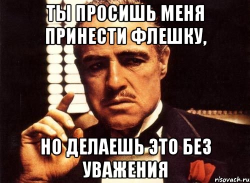 Ты просишь меня принести флешку, но делаешь это без уважения, Мем крестный отец