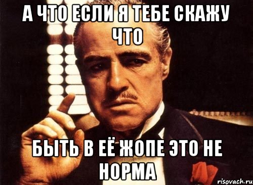 а что если я тебе скажу что быть в её жопе это не норма, Мем крестный отец