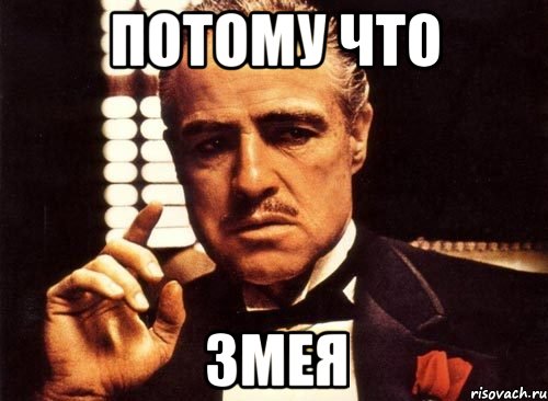 потому что змея, Мем крестный отец