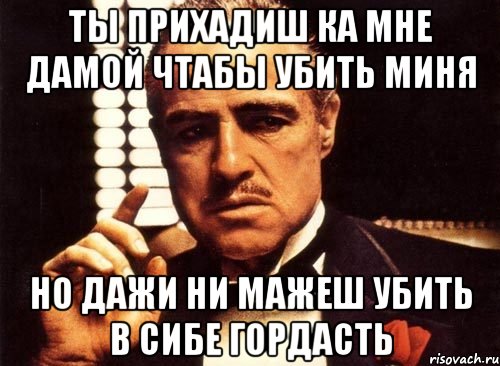 ТЫ ПРИХАДИШ КА МНЕ ДАМОЙ ЧТАБЫ УБИТЬ МИНЯ НО ДАЖИ НИ МАЖЕШ УБИТЬ В СИБЕ ГОРДАСТЬ, Мем крестный отец