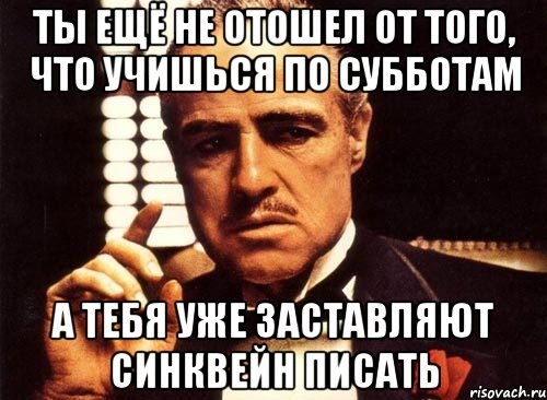 Ты ещё не отошел от того, что учишься по субботам а тебя уже заставляют синквейн писать, Мем крестный отец