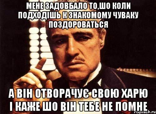 мене задовбало то,шо коли подходiшь к знакомому чуваку поздороваться а вiн отворачує свою харю i каже шо вiн тебе не помне, Мем крестный отец