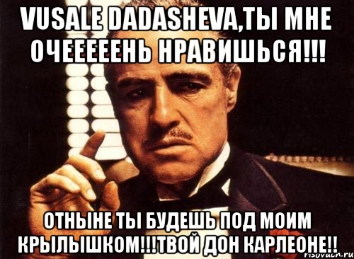 Vusale Dadasheva,ты мне очееееень нравишься!!! Отныне ты будешь под моим крылышком!!!Твой Дон Карлеоне!!, Мем крестный отец