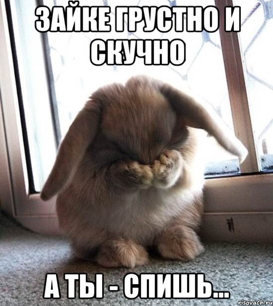 Зайке грустно и скучно а ты - спишь..., Мем Кроль