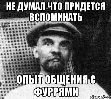 Не думал что придется вспоминать опыт общения с фуррями, Мем   Ленин удивлен