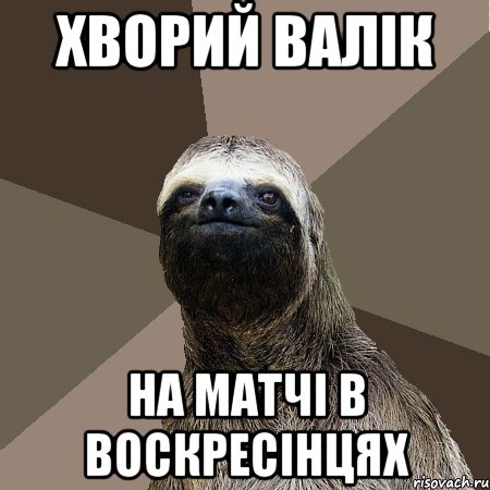 хворий валік на матчі в воскресінцях, Мем Ленивец2