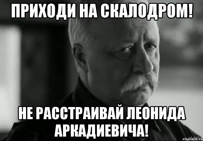 Приходи на скалодром! Не расстраивай Леонида аркадиевича!, Мем Не расстраивай Леонида Аркадьевича