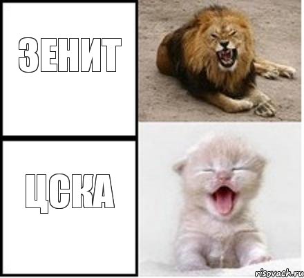 Зенит Цска