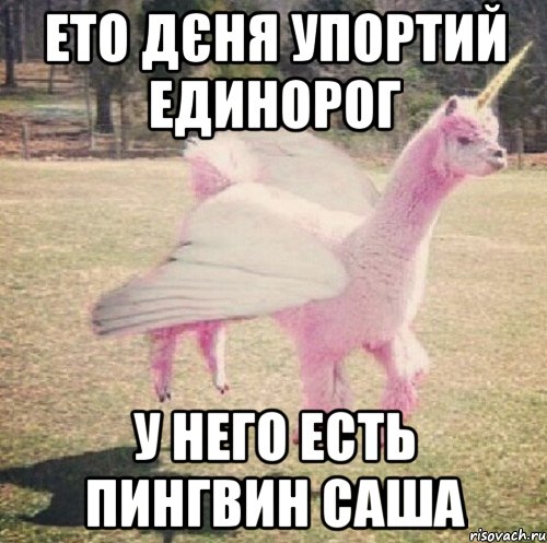 Ето Дєня упортий единорог У него есть пингвин саша, Мем Llama