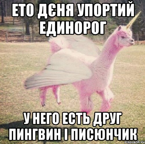 Ето Дєня упортий единорог У него есть друг пингвин і писюнчик, Мем Llama