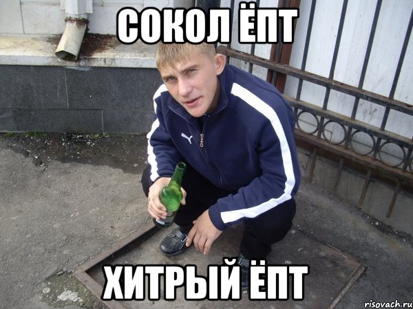 Сокол ёпт Хитрый ёпт