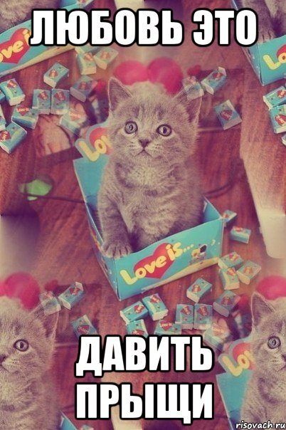 любовь это давить прыщи