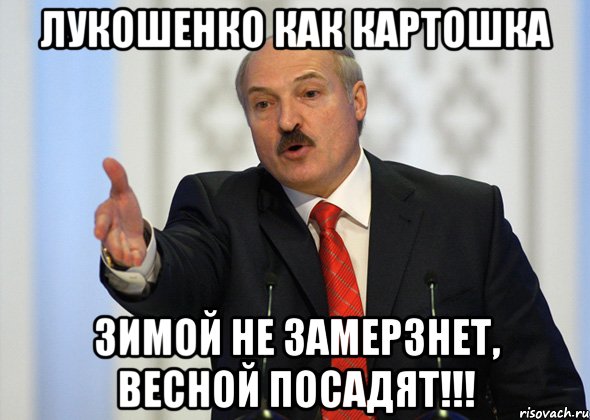 Лукошенко как картошка зимой не замерзнет, весной посадят!!!, Мем лукашенко