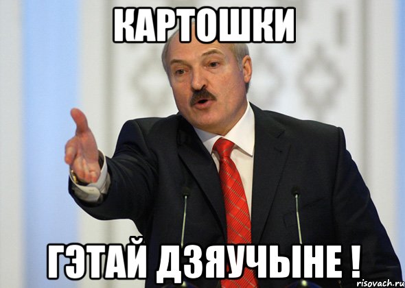 Картошки гэтай дзяучыне !, Мем лукашенко