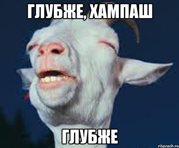 Глубже, Хампаш глубже, Мем Мага