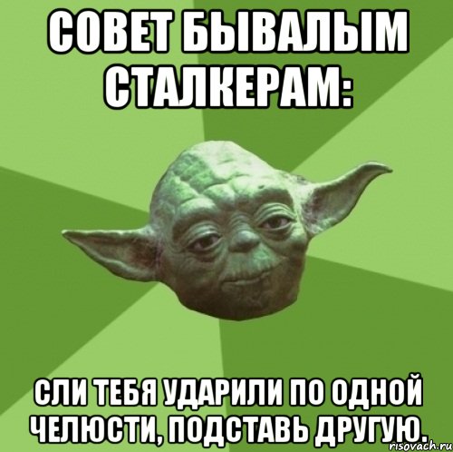 Совет бывалым сталкерам: сли тебя ударили по одной челюсти, подставь другую., Мем Мастер Йода