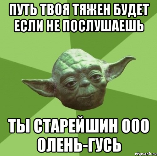 Путь твоя тяжен будет если не послушаешь ты старейшин ООО Олень-Гусь, Мем Мастер Йода