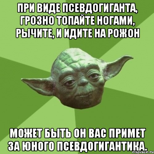 При виде псевдогиганта, грозно топайте ногами, рычите, и идите на рожон Может быть он Вас примет за юного псевдогигантика., Мем Мастер Йода