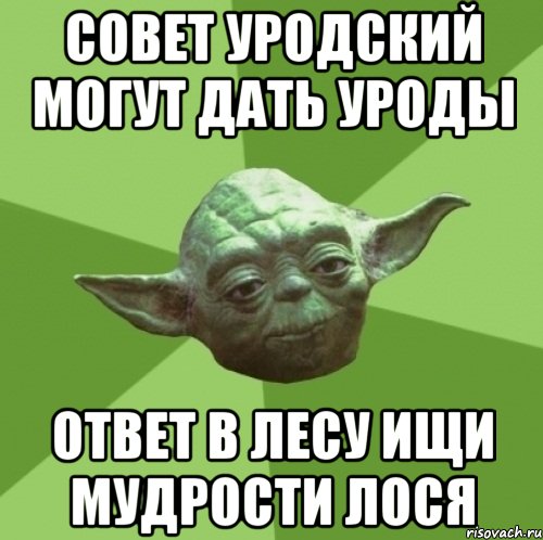 совет уродский могут дать уроды ответ в лесу ищи мудрости лося, Мем Мастер Йода