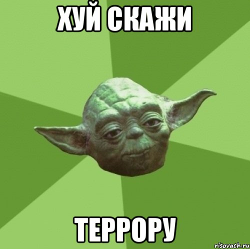 хуй скажи террору, Мем Мастер Йода