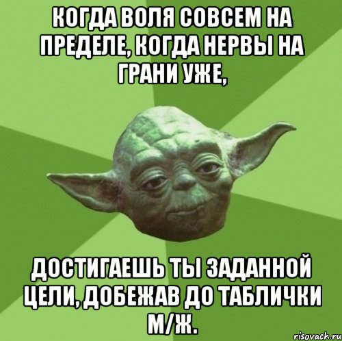 Когда воля совсем на пределе, Когда нервы на грани уже, Достигаешь ты заданной цели, Добежав до таблички М/Ж., Мем Мастер Йода