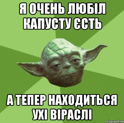 Я очень любіл капусту єсть А тепер находиться ухі віраслі, Мем Мастер Йода