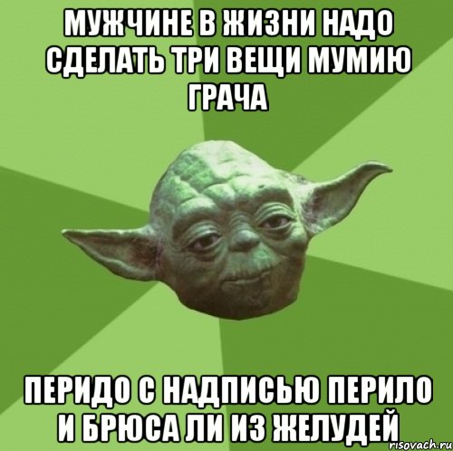 мужчине в жизни надо сделать три вещи мумию грача перидо с надписью перило и брюса ли из желудей, Мем Мастер Йода