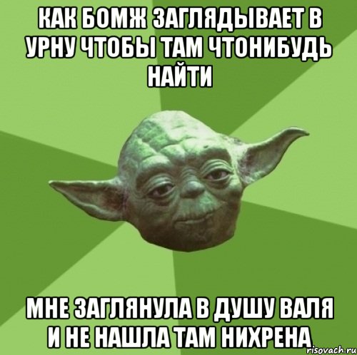 как бомж заглядывает в урну чтобы там чтонибудь найти мне заглянула в душу валя и не нашла там нихрена, Мем Мастер Йода